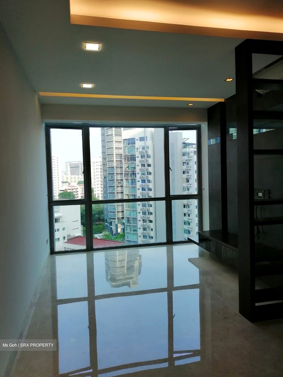 Park Infinia At Wee Nam (D11), Condominium #581781361